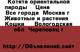 Котята ориентальной пароды  › Цена ­ 12 000 - Все города, Москва г. Животные и растения » Кошки   . Вологодская обл.,Череповец г.